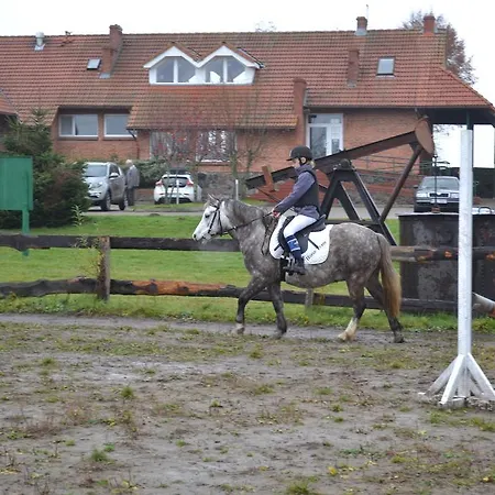 Petrico Park Kompleks wypoczynkowy